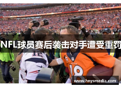 NFL球员赛后袭击对手遭受重罚